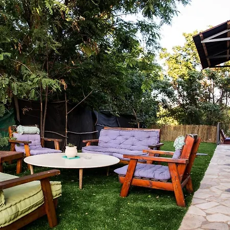 צימרים בצפון - עץ נוי She'ar Yashuv Exterior photo